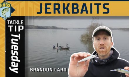 Bassmaster – How Brandon Card maximizes a jerkbait bite in Winter