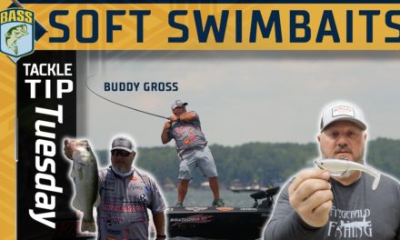 Bassmaster – How Buddy Gross fishes deeper water with belly-weighted swimbaits