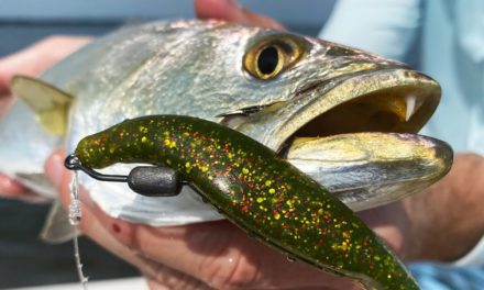 Salt Strong | – How To Rig & Retrieve Jerk Shads (For Redfish, Snook, Trout, & Flounder)