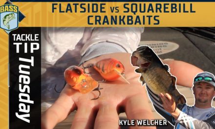 Bassmaster – Kyle Welcher's Flatside vs Squarebill winter debate