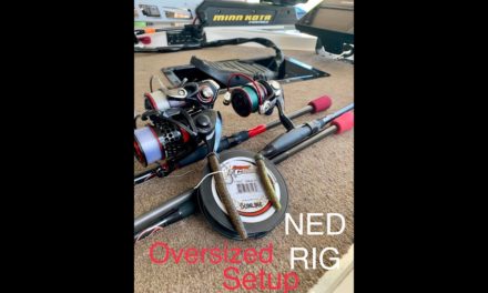 Oversized Ned Rig Bass Fishing Setup