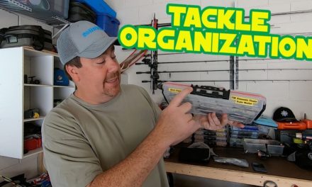 Tackle Organization – Tips to be more organized with your lures