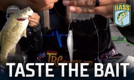 Bassmaster – Taste the Bait: Bill Weidler's winning gear at St. Clair (Bassmaster Elite Series Win)