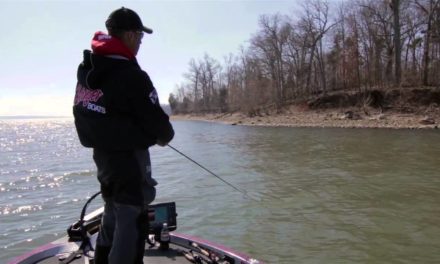 Tips for Fishing Banks in the Spring for Bass