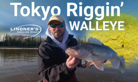 Tokyo Rigging Walleye