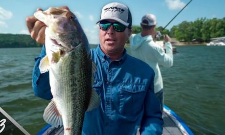 Scott Martin Pro Tips – UNLOCKING Pickwick Lake – Ledge Fishing 101 – SMC TV Ep.3