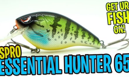 Closer Look at the Spro Essential Hunter 65 Squarebill Crankbait