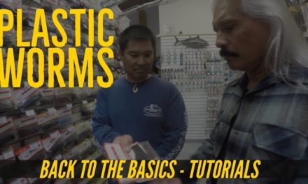 Fishing & Rigging Plastic Worms for Beginners – Back to the Roots