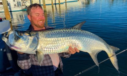 BlacktipH – Fishing for Tarpon from the Dock