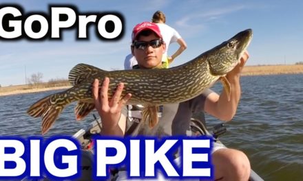 Flair – GoPro Spring BIG Pike Fishing 2015