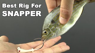 Salt Strong | – How To Rig Pinfish For Big Mangrove Snapper (And Other Offshore Species)