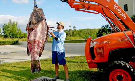 BlacktipH – How to Clean and Cook a 300lb Grouper