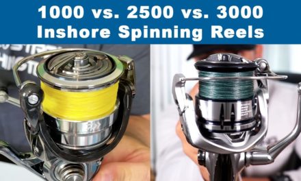 Salt Strong | – Inshore Spinning Reel Sizes (1000 vs 2500 vs 3000 Series Reels)