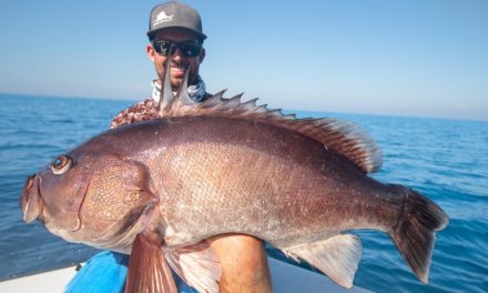 BlacktipH – Monster Pacific Ocean Grouper Fishing