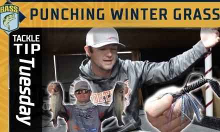 Bassmaster – Punching Dead Grass in Winter with Wes Logan