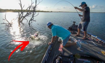 Scott Martin Pro Tips – We Caught BABY TOAD – Best Lake in Texas!
