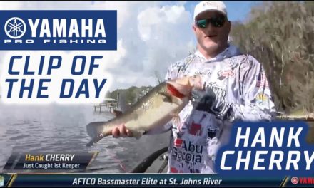 Bassmaster – Yamaha Clip of the Day – Hank Cherry's 8 pounder on Day 1 at St. Johns