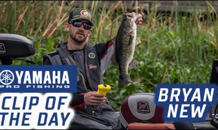 Bassmaster – Yamaha Clip of the Day – New's Final Catch to Seal the Deal
