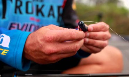 Bass Fishing: How to Texas Rig Soft Plastic Worms with Scott Martin