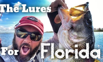 FlukeMaster – Bass Fishing for Giant Bass in Florida