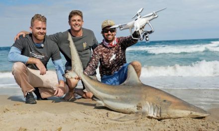 BlacktipH – Drone Fishing for Sharks