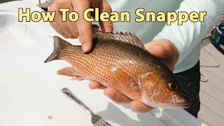 Salt Strong | – How To Clean Snapper (When Cooking Them Whole)