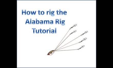 Flair – How To: Rig the Alabama Rig