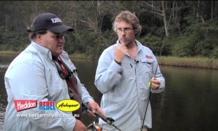 How to – Catch bass on surface lures