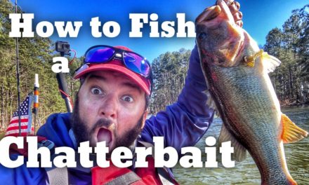 FlukeMaster – How to Fish a Chatterbait – Bass Fishing