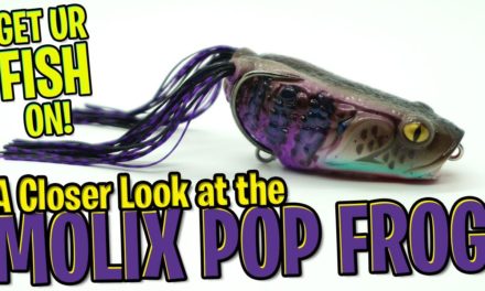 Need ANOTHER frog in your BASS TACKLE BOX? Molix Rattlin Pop Frog