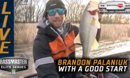 Bassmaster – Pickwick putting out good fish for Bassmaster Elites (Brandon Palaniuk)
