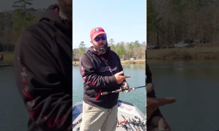 FlukeMaster – Quick Tip for High Pressured Lakes – Bass Fishing #shorts