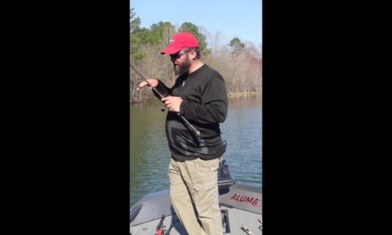 FlukeMaster – Trick for Spring Creature Baits | Texas Rig | Bass Fishing | #shorts