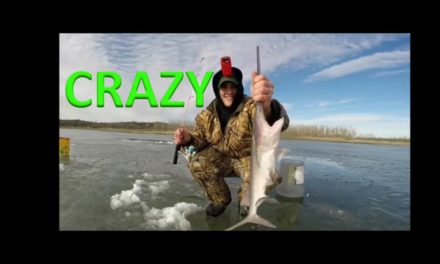 Flair – **UNREAL VIDEO** 2 Paddlefish Caught Ice Fishing?!?!?!