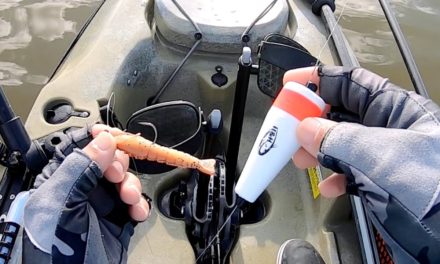 Salt Strong | – Using Gulp Shrimp Under A Popping Cork (Rigging, Types Of Corks, & When To Use This Rig)