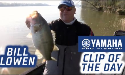 Bassmaster – Yamaha Clip of the Day – Bill Lowen's special shallow pattern
