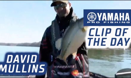 Bassmaster – Yamaha Clip of the Day – David Mullins' late flurry on Day 1