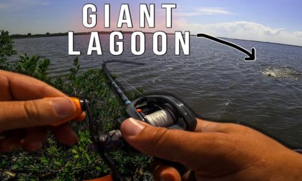 Lawson Lindsey – Catching Fish in a Giant Saltwater Lagoon