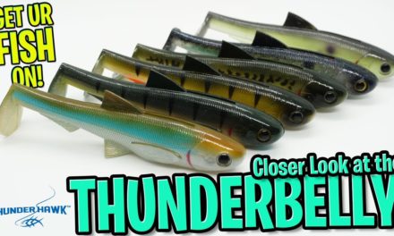 Closer Look at the Thunderhawk Lures THUNDERBELLY Bass Fishing Swimbait