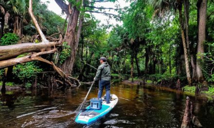 Lawson Lindsey – Fishing and Paddling An Ancient River