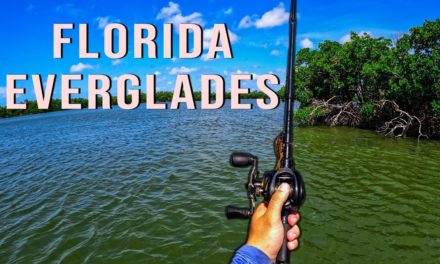 Lawson Lindsey – Fishing for the Strongest Saltwater Fish in the Florida Everglades
