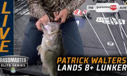 Bassmaster – Patrick Walters lands another 8+ pounder on Lake Fork