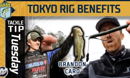 Bassmaster – Why Brandon Card uses the Tokyo Rig during spring fishing (Better than Texas Rig?)