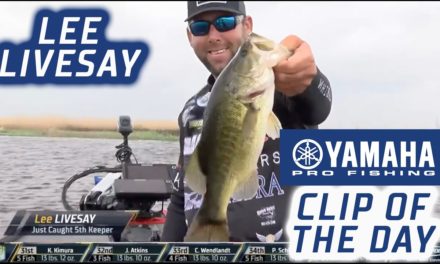 Bassmaster – Yamaha Clip of the Day: Lee Livesay stays in Top 5 with last second catch