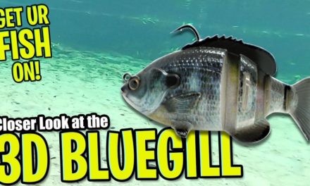 Closer Look at the Savage Gear 3D Bluegill – Bass Fishing Swim Bait