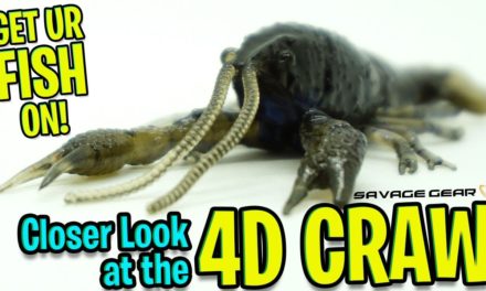 Closer Look at the Savage Gear 4D Craw – Bass Fishing Bait Lure