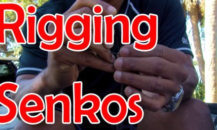 Fishing Tips ~How to rig a Senko stick bait for Bass