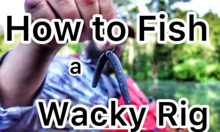 FlukeMaster – How to Fish a Wacky Rig and Other Details about a Senko