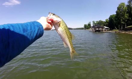 Lake Norman pre fishing for tournament