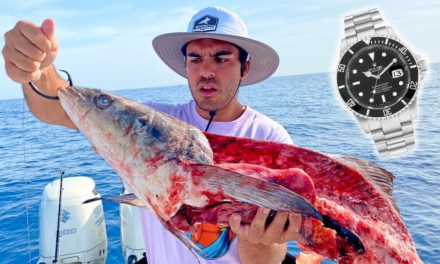 BlacktipH – Shark Fishing with Nelk – Got a Rolex